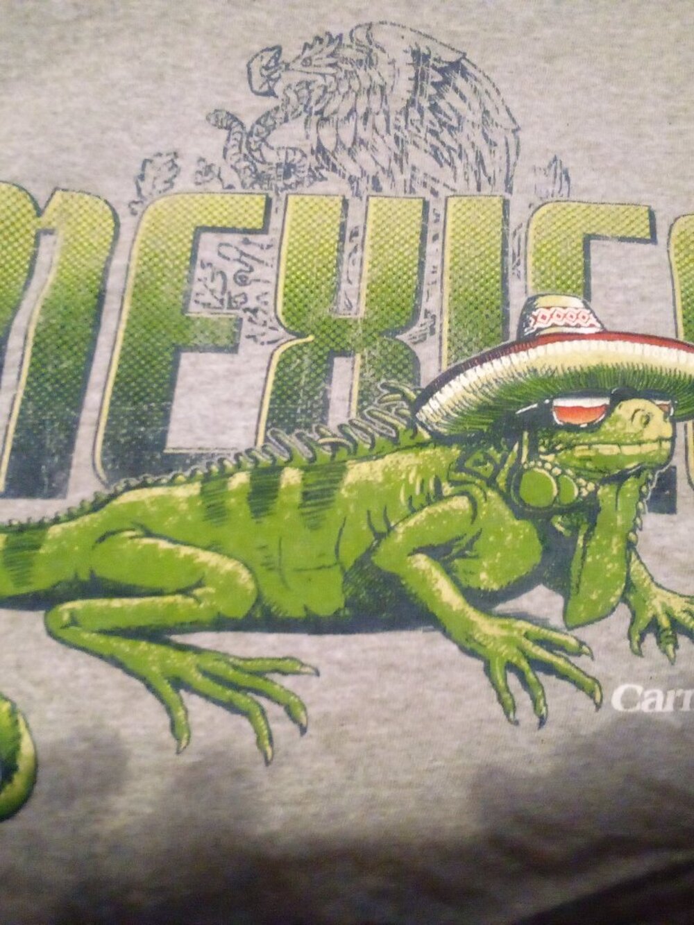 Carnival Mexico Iguana Graphic Print Gray Cotton S/S T Shirt XXL Delta Pro Heavy